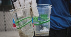 Greenwashing