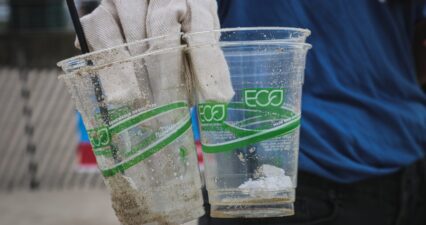 Greenwashing